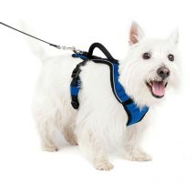 EasySport – Imbracatura - Petsafe