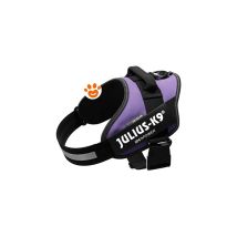 Pettorina Idc Julius K9 Powerharness (ita) - Pettorina Idc Julius K9 Powerharness (ita) - Viola, S / Mini (49-67cm)