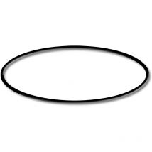 Pezzo di ricambio: O-ring 2 per filtri a sabbia per laghetti Sunsun CSF-500