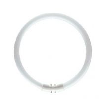 Circlean lamper fluorescente tl5 60w d40 d40 natural light tl5c6084