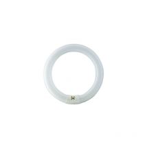 Philips tl-e 32W/865 1CT/12 kühles Tageslicht, Ringlampe mit ø 303,5 mm, dimmbar