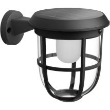 Lighting Radii 8720169267176 Applique solaire extérieure avec détecteur de mouvement 1.3 w blanc chaud noir - Philips
