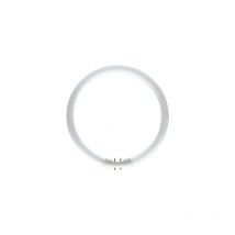 PHILIPS MASTER TL5 CIRCULAR 60W/840 1CT/10 Neutralweiß, Ringlampe mit Ø 379 mm, dimmbar
