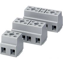 2716729 g 10/ 4 Morsetto terminale flessibile: -6 mm² rigido: -6 mm² Numero Poli (num): 4 1 pz. Grigio - Phoenix Contact