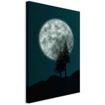 Bild – Wunderschöner Vollmond (1-teilig) Vertikal