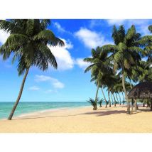 Ag Art - Photo mural intissé plage des tropiques 360x270 cm, 4 parts