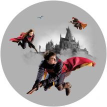 Ag Art - Papier peint intissé auto-adhésif rond Harry Potter Quidditch 3 personnages - 70 x 70 cm