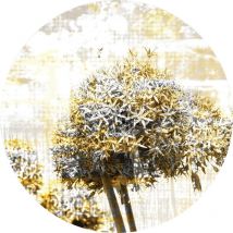 Ag Art - Papier peint intissé auto-adhésif rond Thème Magie du Pissenlit - 70 x 70 cm