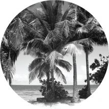 Ag Art - Papier peint intissé auto-adhésif rond Thème Palmiers monochromes - 140 x 140 cm