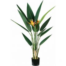 Strelitzia plants h. 120 cm 12 feuilles + 2 fleurs