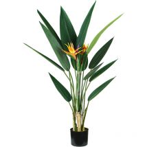 Strelitzia Pflanze h. 120 cm 12 blätter + 2 blumen komplett mit Moostopf - King Home