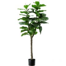 Pflanze ficus lyrata h. 130 cm 60 leaves komplett mit Moostopf - King Home