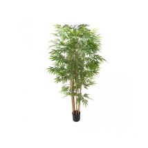 Pianta di Bamboo ornamentale 230 cm. 2480 foglie