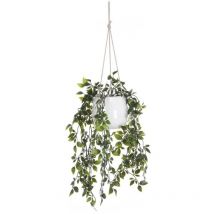 Pianta artificiale ricadente H.70 x L.20 cm con vaso in Ceramica Verde - bahiana