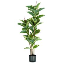 Pianta Ficus Elastica In Polietilene Con 54 Foglie E Vaso Con Muschio 145cm