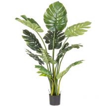 Pianta con Vaso 23Foglie H120Cm (2 Pezzi) - filodendro