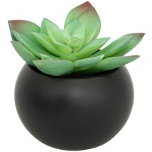 Pianta grassa in vaso H13 - Modèle g/noir - Atmosphera créateur d'intérieur