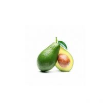 Pianta persea americana pianta di avocado fuerte innestata h 100CM