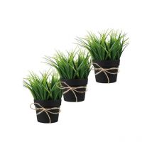 Piantine artificiali set 3 pz in scatola trasparente di acetato - King Home