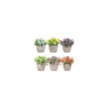 Piantine artificiali set 6 pz in scatola trasparente di acetato - King Home
