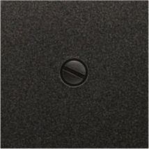Piastra cieca 55x55mm in carbonio metallizzato Siemens Delta miro 5TG1220