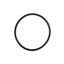 Joint de Couvercle Cantabric / Millenium 400/500/600/750 ( Astralpool