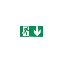 Pictogramme autocollant signalisation d'évacuation - flèche vers le bas - 100 x 200 mm URA 956663