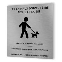 Decoho - Pictogramme format 20 cm x 20 cm en Dibond Aluminium brossé - Modèle Chien en laisse multilingue