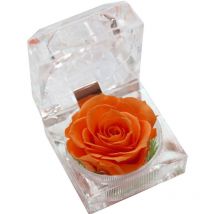 Pièce La véritable rose éternelle, coffret cadeau anniversaire avec tiroir, fleur éternelle, rose, cadeaux pour femmes, maman, petite amie,
