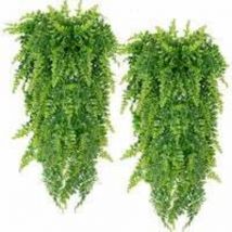 pièces fausses plantes de fougère de Boston artificielles fausses plantes tenture murale décoration de mariage pour la maison en plein air
