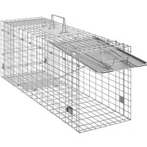 Mophorn - Piège à cage pour animaux vivants 31' x 10' x 12', piège pliable en fer galvanisé pour chats errants, lapins, écureuils, ratons laveurs,