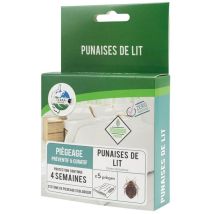 Plaque Punaises De Lit Prêt À L'Emploi X 5