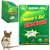 Piège à souris LEP piège à souris pour rats XXL 10 pièces