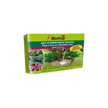 Piège Otiorrhynques adultes