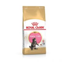 Royal Canin - Pienso kitten maine coon para gatitos - 4Kg