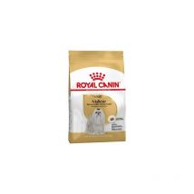 Royal Canin - Pienso maltese adult perros de raza Bichón Maltés adulto y maduro (a partir de 10 meses) - 500g