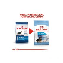 Royal Canin - Pienso maxi puppy (junior) perros de tamaño grande (Hasta 15 meses) - 4Kg
