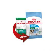 Royal Canin - Pienso mini puppy (junior) para cachorros (Hasta 10 meses) - 4 Kg