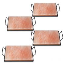Pierre à sel avec support Pierre à sel pour barbecue xl bbq Set 30x20x3cm Plaque à sel pour repas 4X