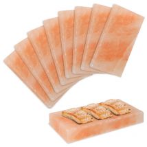 Tolletour - Pierre de sel Premium pour griller - pierre de sel bbq de haute qualité pour un goût spécial - planche de sel 8X
