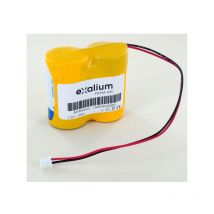 Pile 7.2V 19Ah Lithium pour Multilog & Octopus C/4 Hydreka