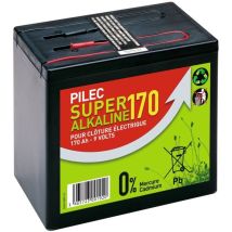 Pile alcaline 9 V 170 Ah – Type de piles, Technologie batterie, Tension électrique – Chapron Lemenager