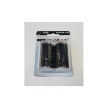 Pile alcaline (blister de 2) NX Power Tech LR20-D 1.5V 19.76Ah enix