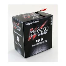 Eveready - Pile éclairage 9V à lames 6R25L