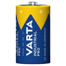 04020211111 - Batterie à usage unique - d - Alcaline - 1,5 v - 1 pièce(s) - 17000 mAh (04020 211 111) - Varta