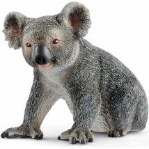 Koala Orso