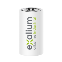 Scatola Da 12 Batterie Alcaline Exalium Lr20 D 1.5v