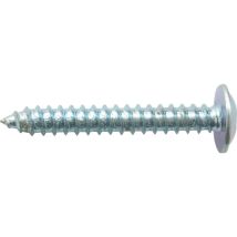 Zoro Select - 8x3/4 (4.2x19) Pozi Flange Head Self Taps Ab Bzp- You Get 50
