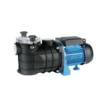 Altro – Elektrische Schwimmbadpumpe 0,6 kW – Einphasige Pumpe mit IPX5-Schutz – Pumpenkörper aus Glasfaser und Polypropylen – Maximaler Druck 3,0 bar