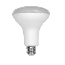 Ampoule Silver-electronics R80 Reflector 11w 3000k